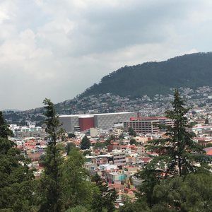 Meet your Posher, Oscar